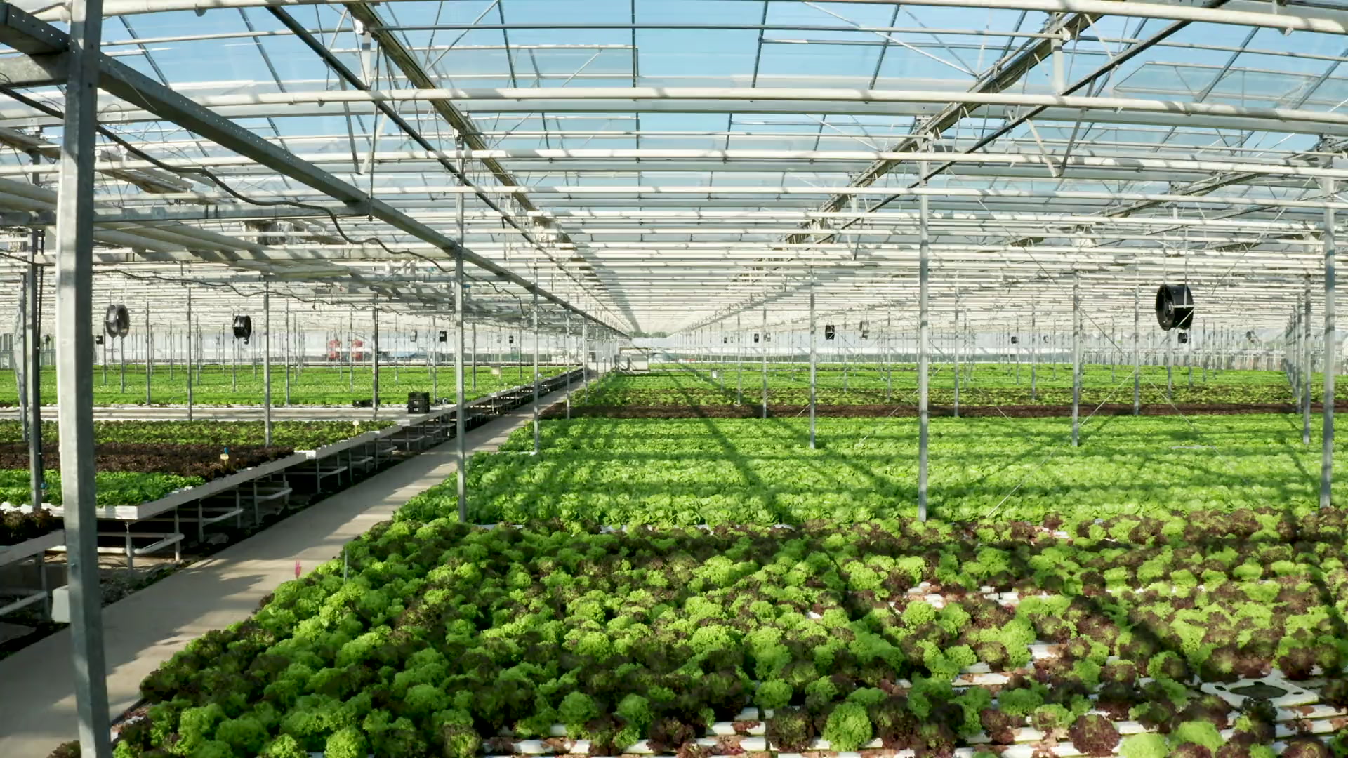 Modern greenhouse facility with advanced technology